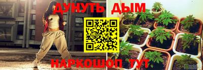 гидропоника Ярославль