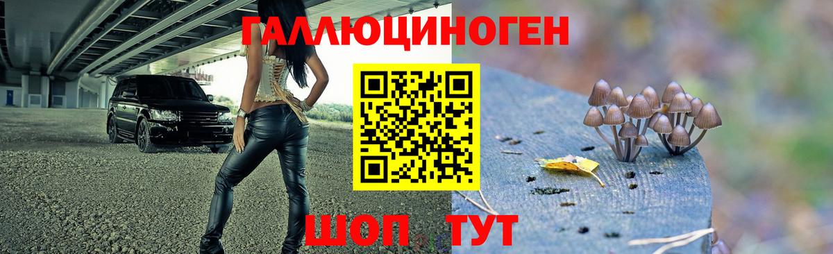 Павлово  Галлюциногенные грибы мухоморы  Вход с VPN 